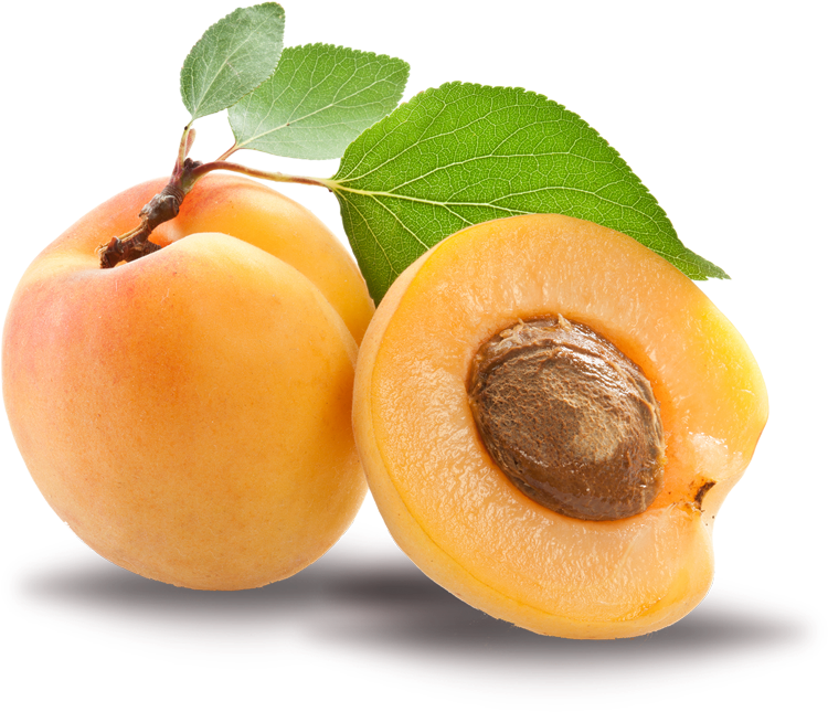 Fresh Apricots With Leaf PNG image
