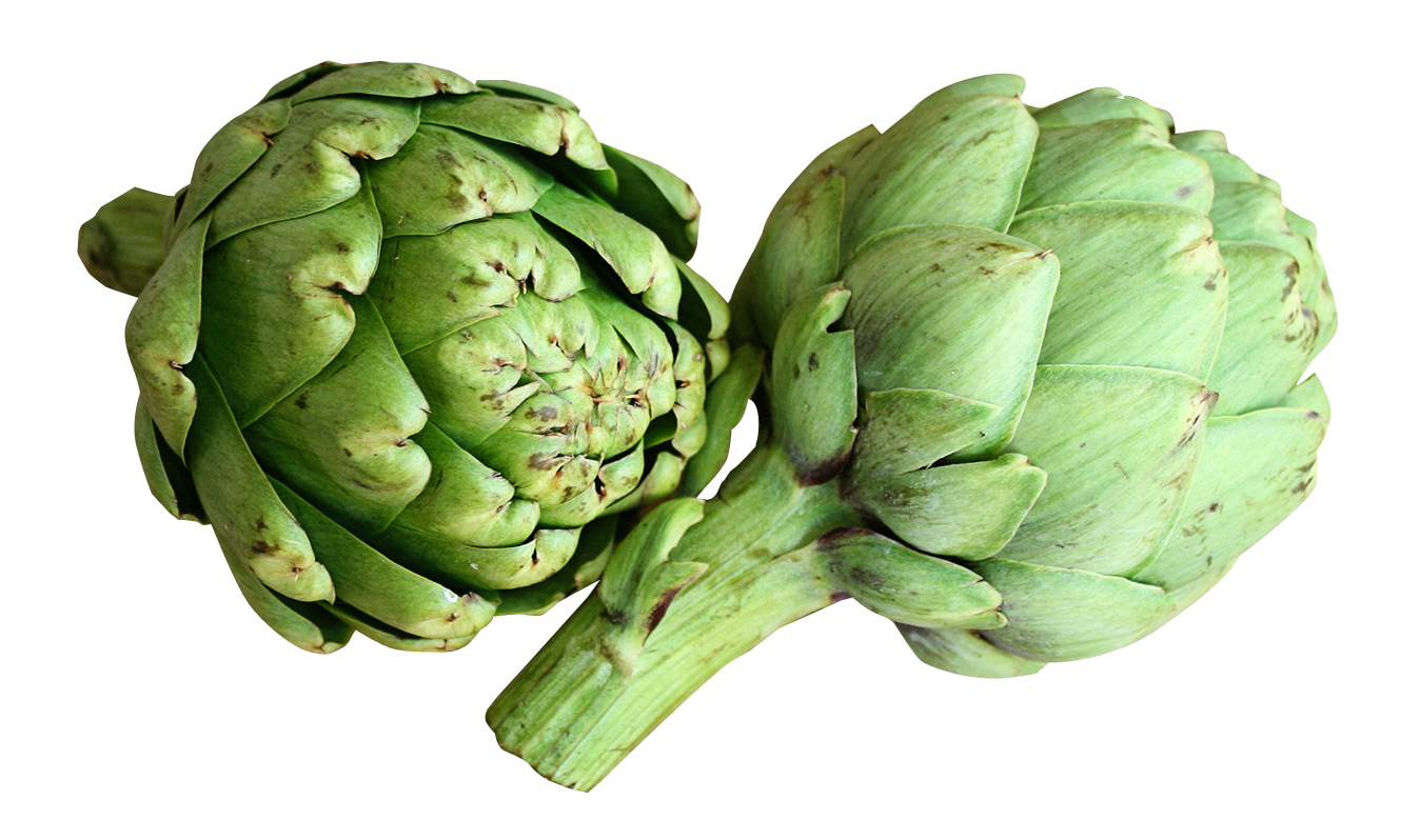 Fresh Artichokes Isolated PNG image