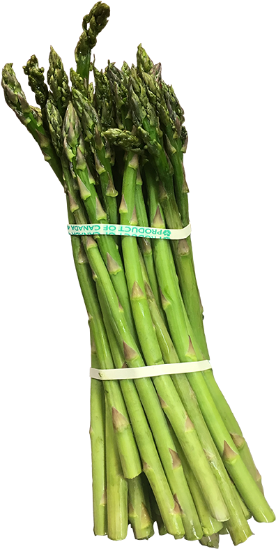 Fresh Asparagus Bunch PNG image