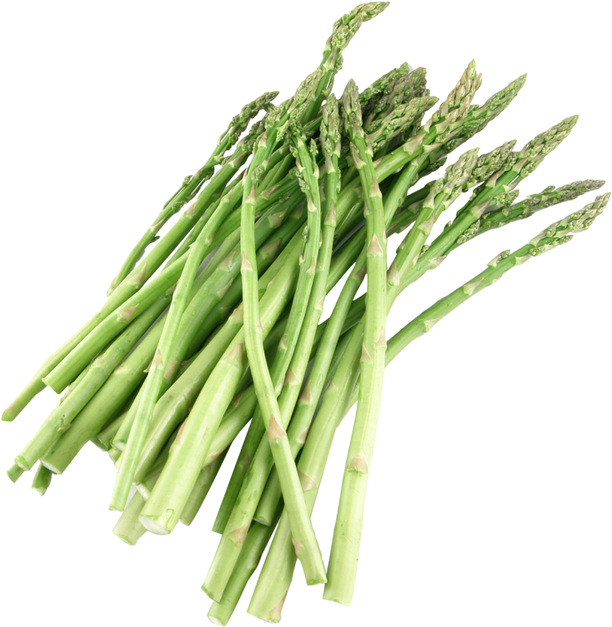 Fresh Asparagus Bunch.png PNG image