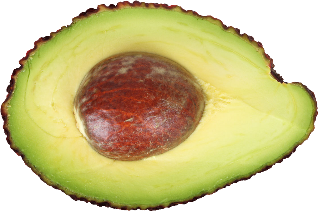 Fresh Avocado Half Seed Visible.png PNG image