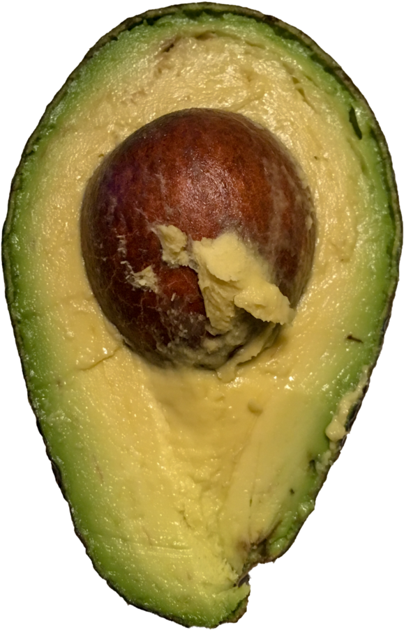 Fresh Avocado Halfwith Pit PNG image