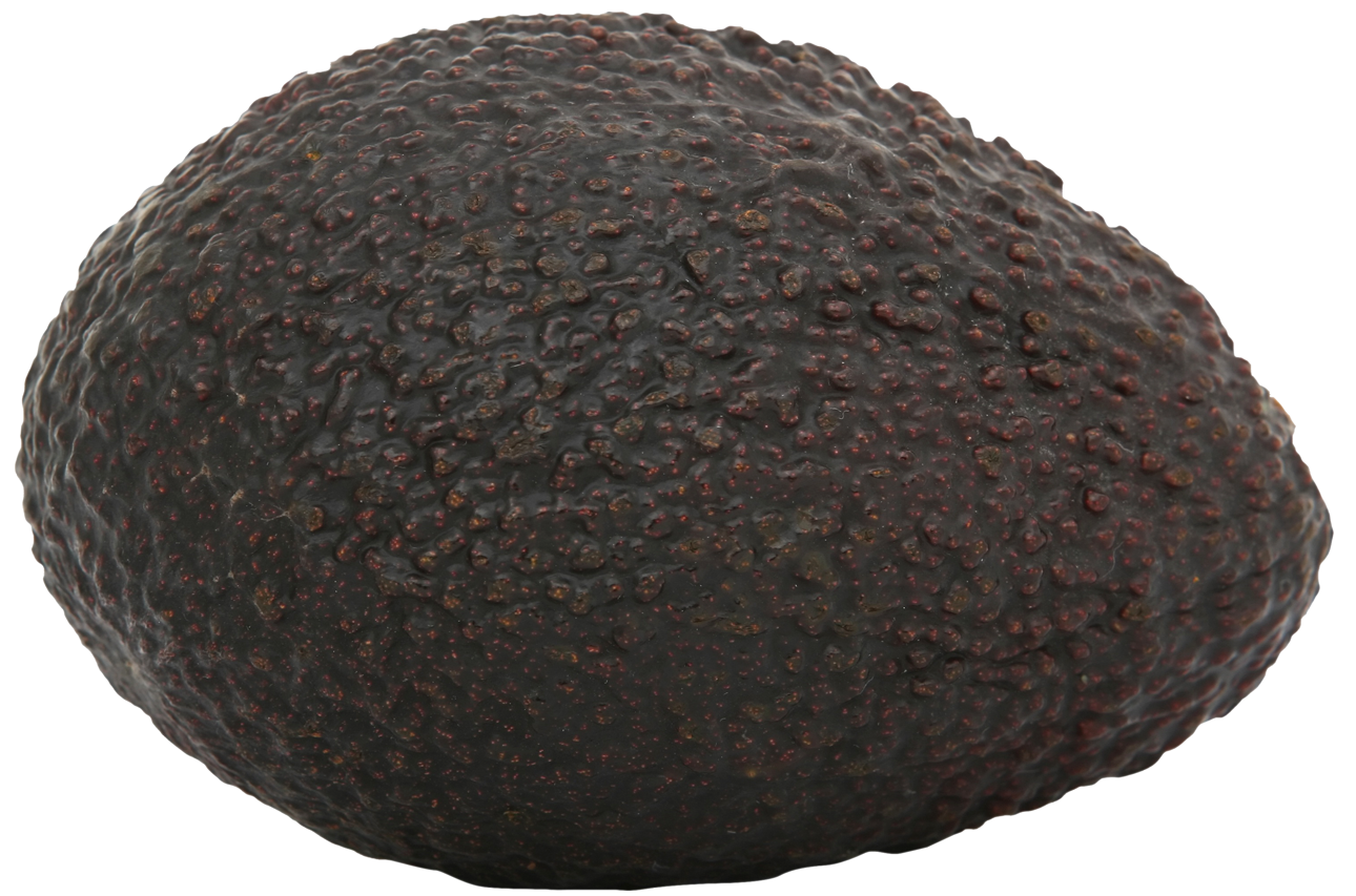 Fresh Avocado Texture PNG image