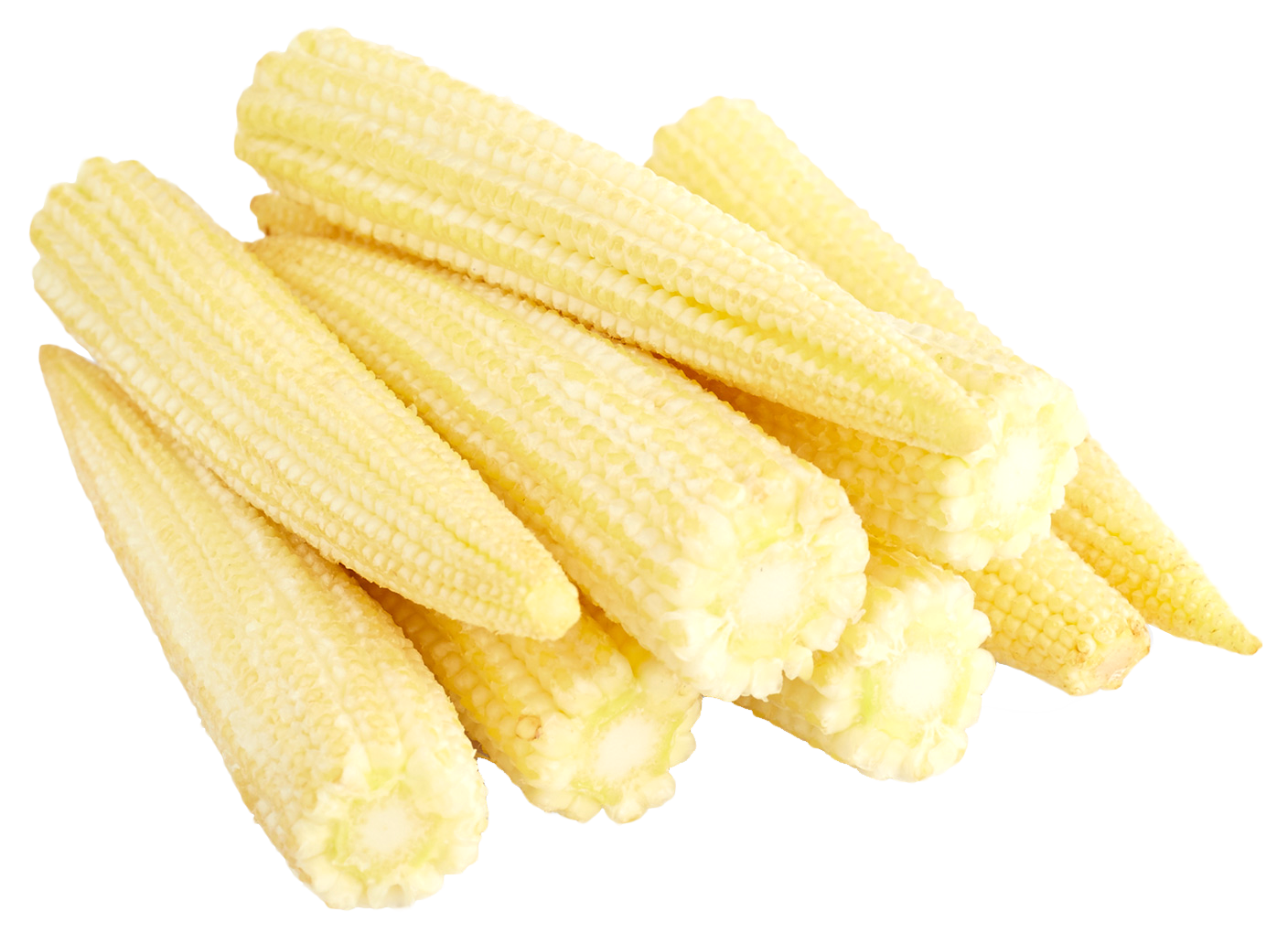 Fresh Baby Corn Isolatedon Background PNG image