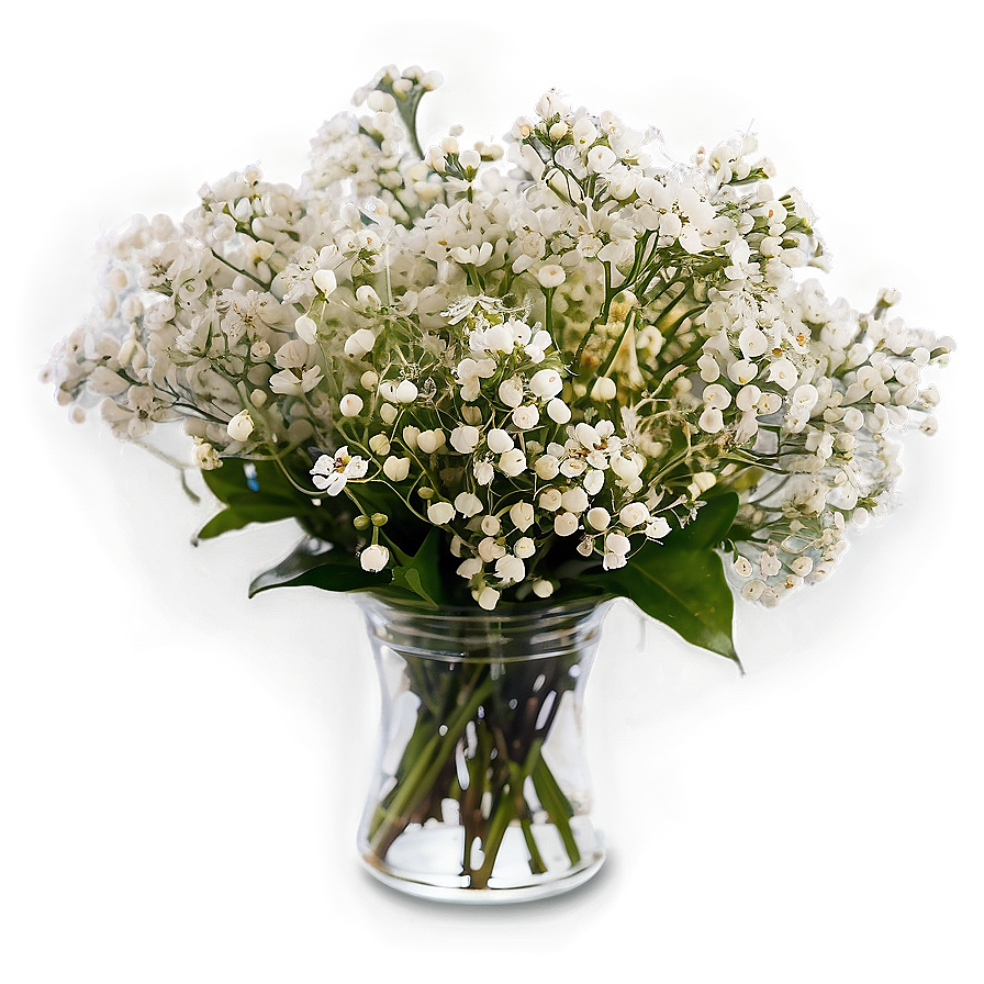 Fresh Baby's Breath Arrangement Png 06212024 PNG image