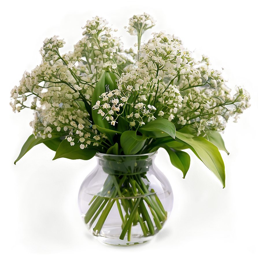 Fresh Baby's Breath Arrangement Png Mky PNG image