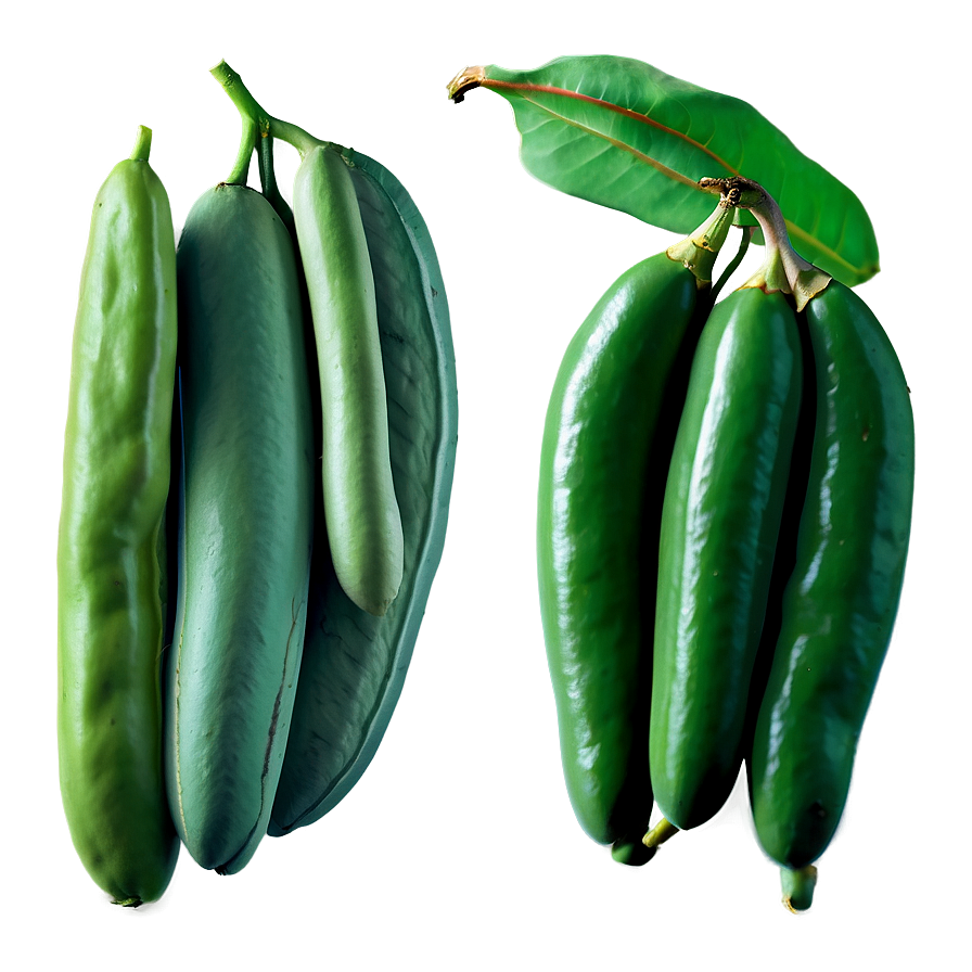 Fresh Beans Png 93 PNG image