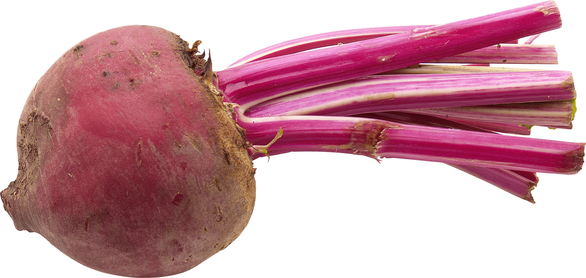 Fresh Beetrootwith Stems PNG image