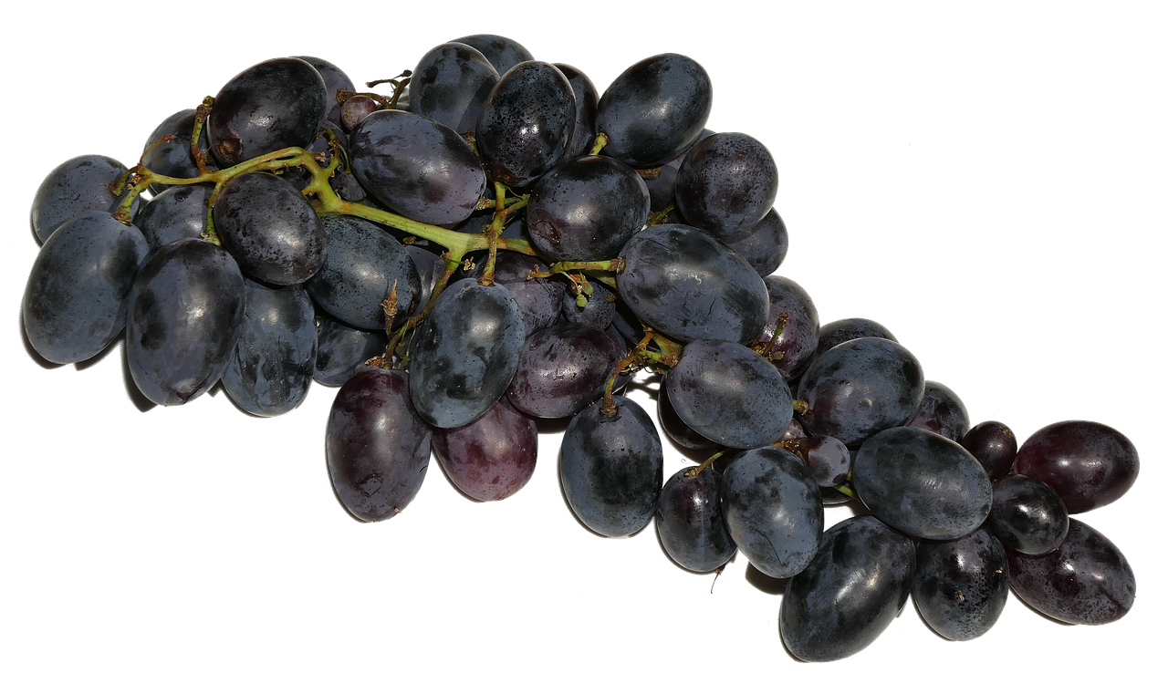Fresh Black Grapes Cluster.jpg PNG image