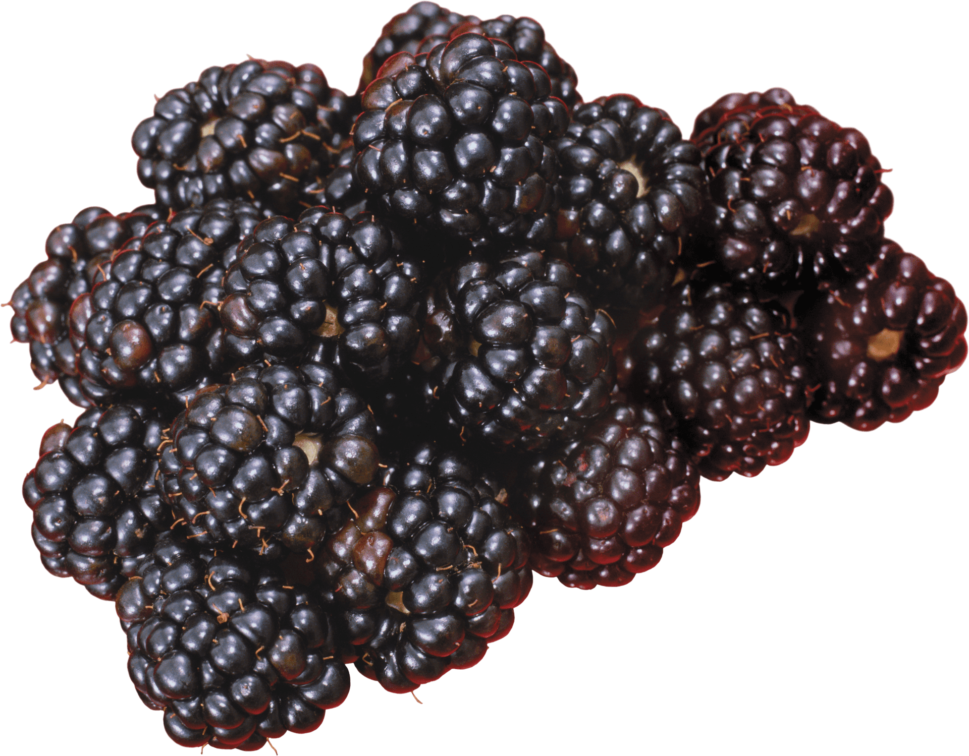 Fresh Blackberries Cluster PNG image