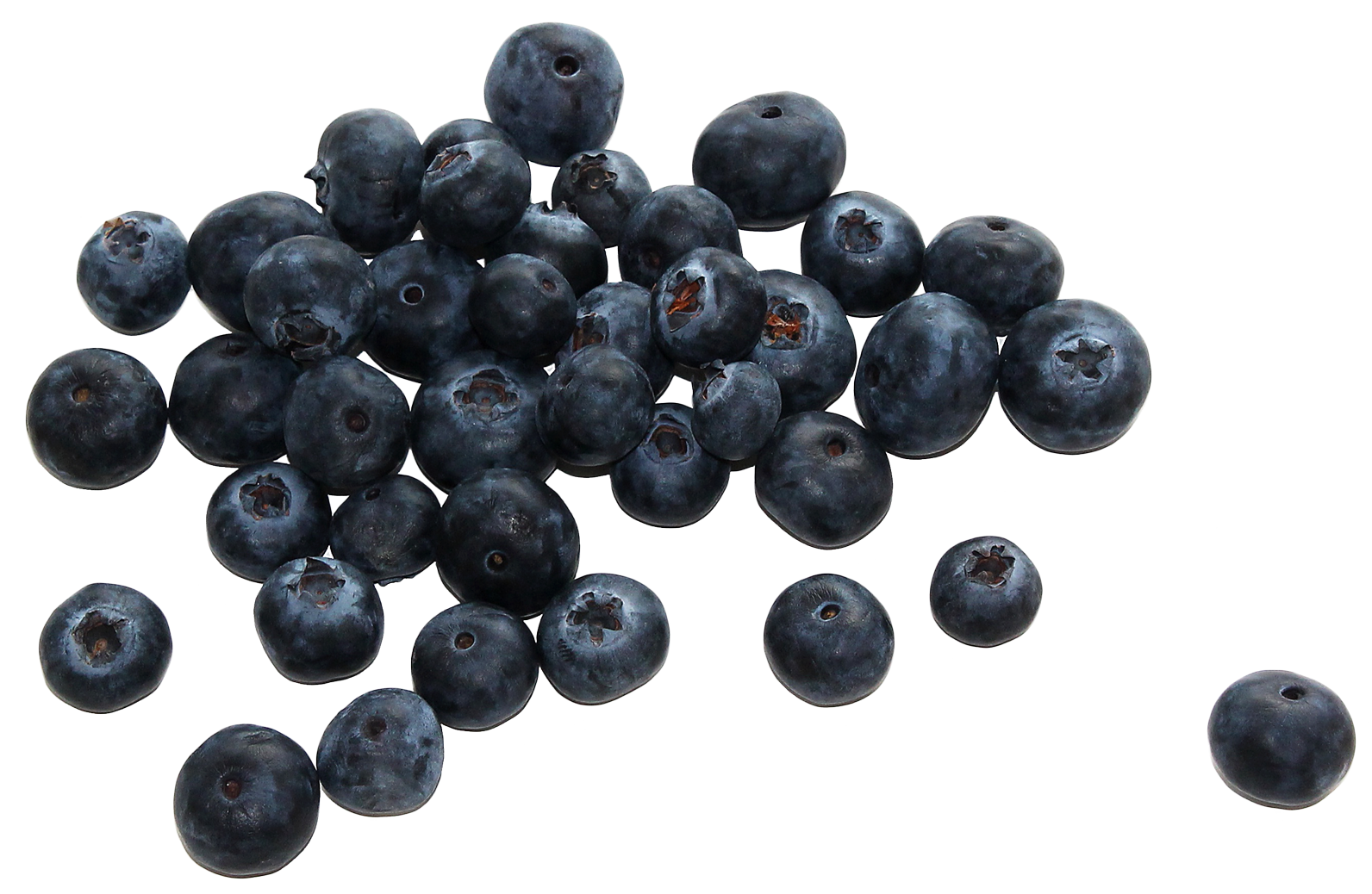 Fresh Blueberries Isolated PNG image