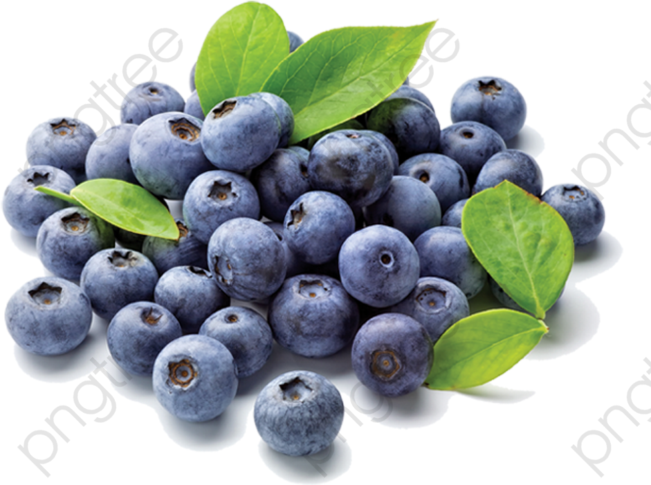 Fresh Blueberries With Leaves.png PNG image