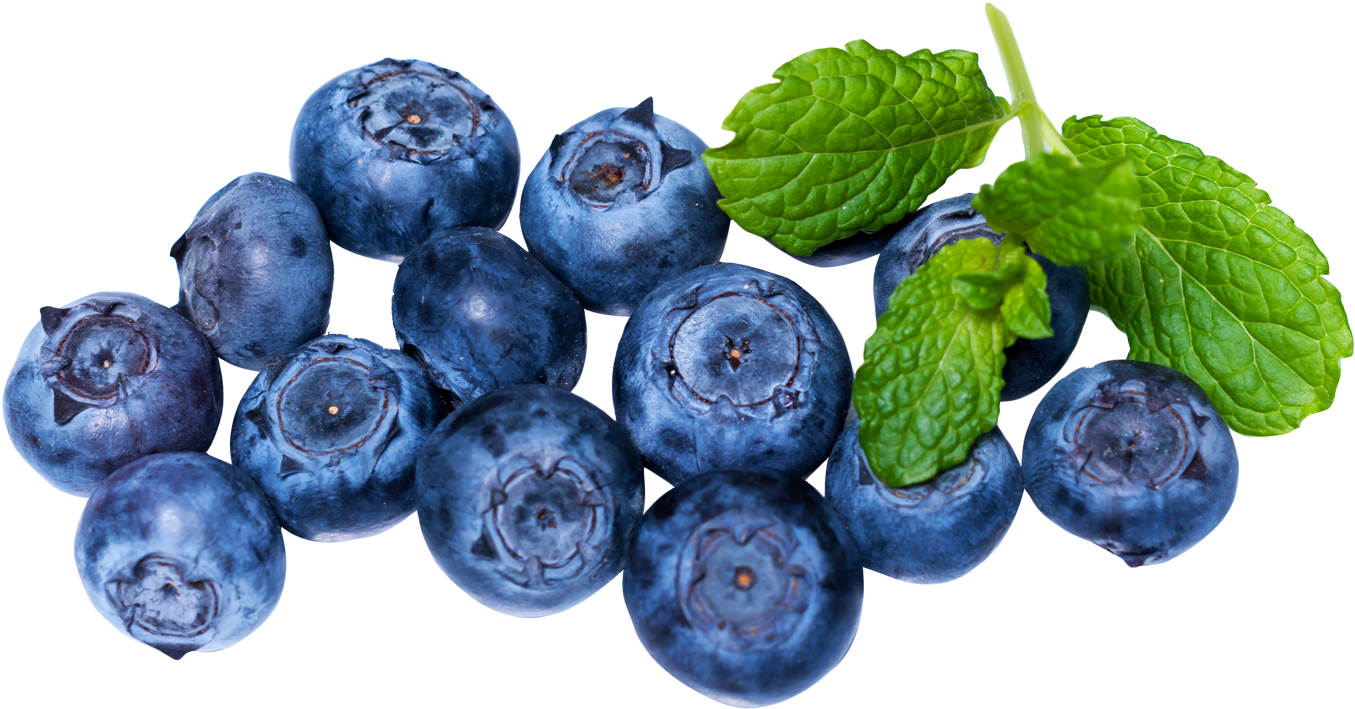 Fresh Blueberries With Mint Leaves.png PNG image