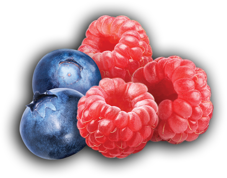 Fresh Blueberriesand Raspberries PNG image