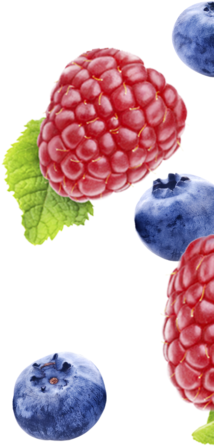 Fresh Blueberriesand Raspberry PNG image