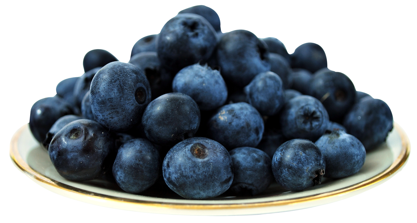Fresh Blueberrieson Plate PNG image