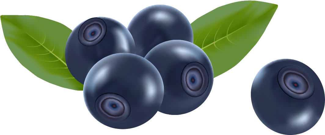 Fresh Blueberrieswith Leaves PNG image