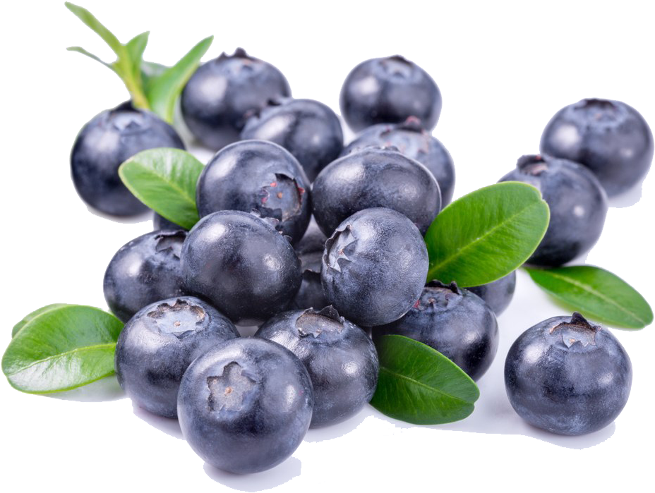 Fresh Blueberrieswith Leaves Isolated PNG image