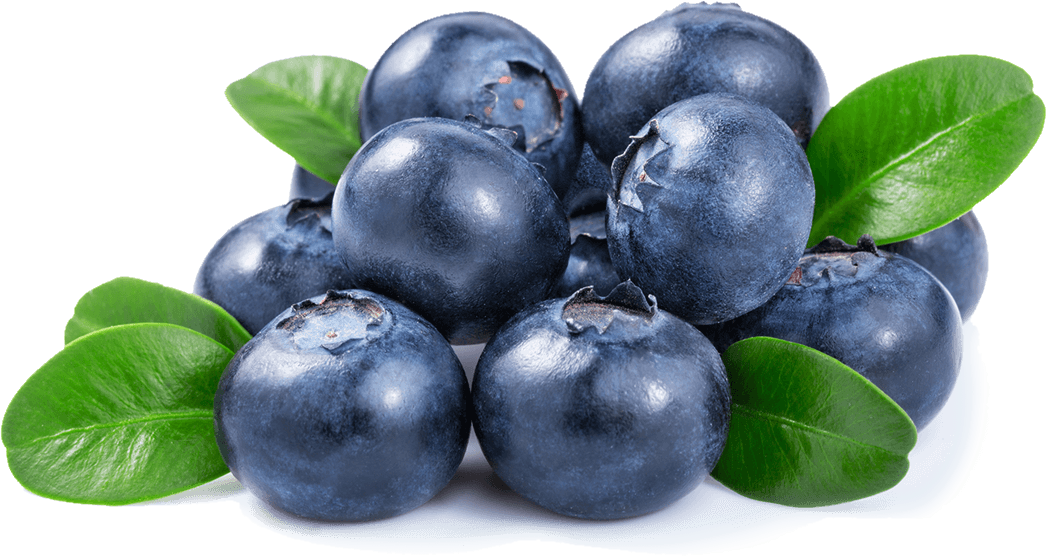 Fresh Blueberrieswith Leaves.png PNG image