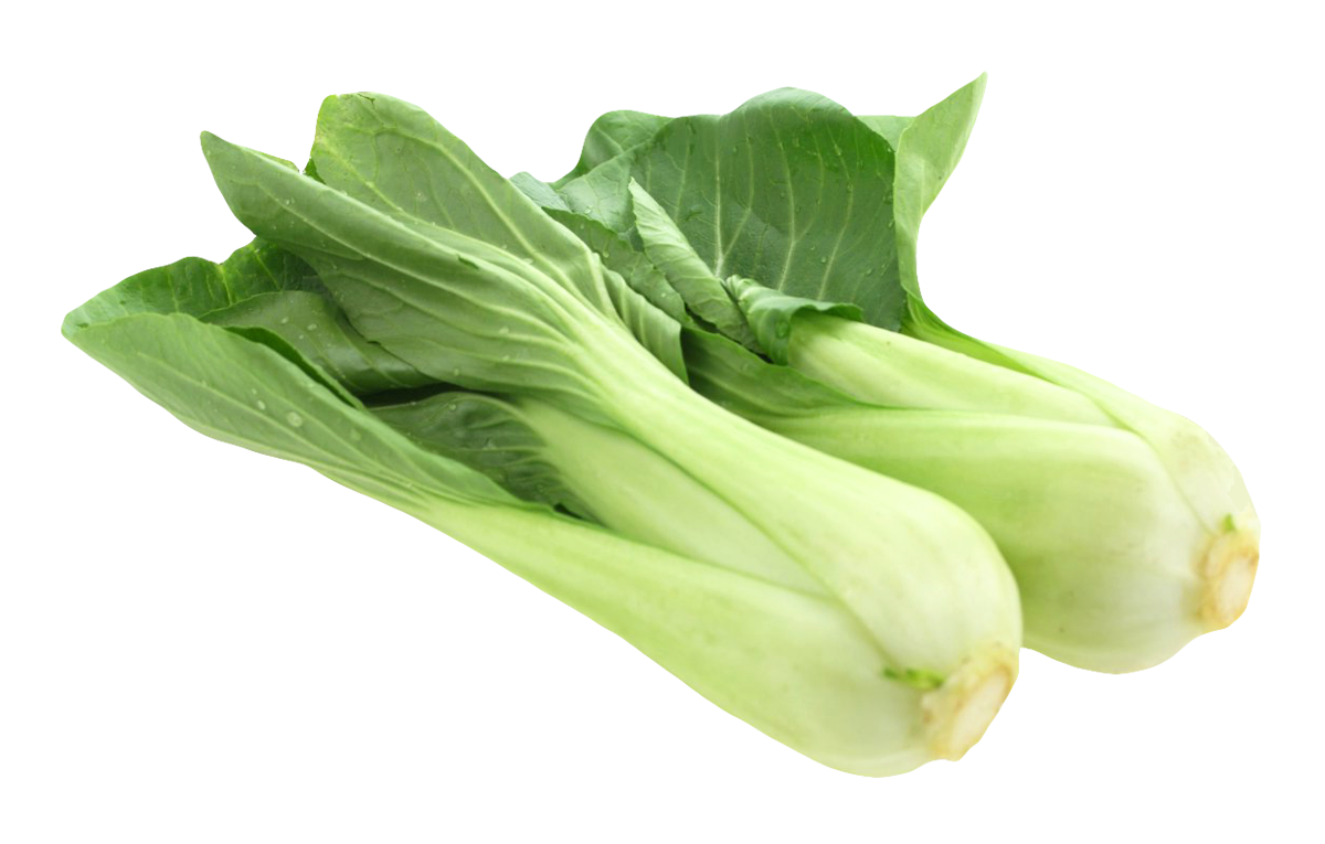 Fresh Bok Choy Vegetable PNG image