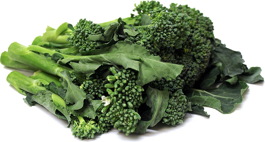 Fresh Broccoli Bunch Isolated PNG image