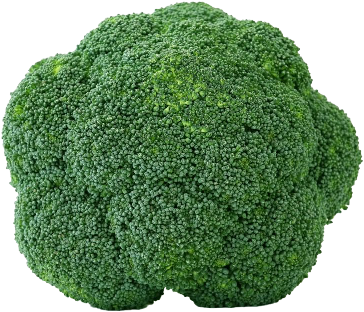 Fresh Broccoli Closeup PNG image