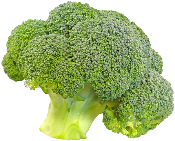 Fresh Broccoli Isolated.png PNG image