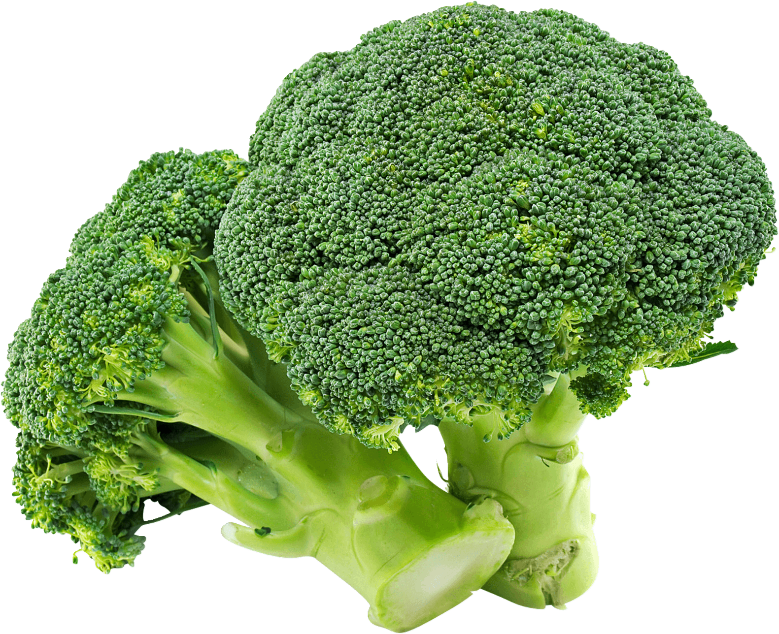 Fresh Broccoli Isolatedon Background PNG image