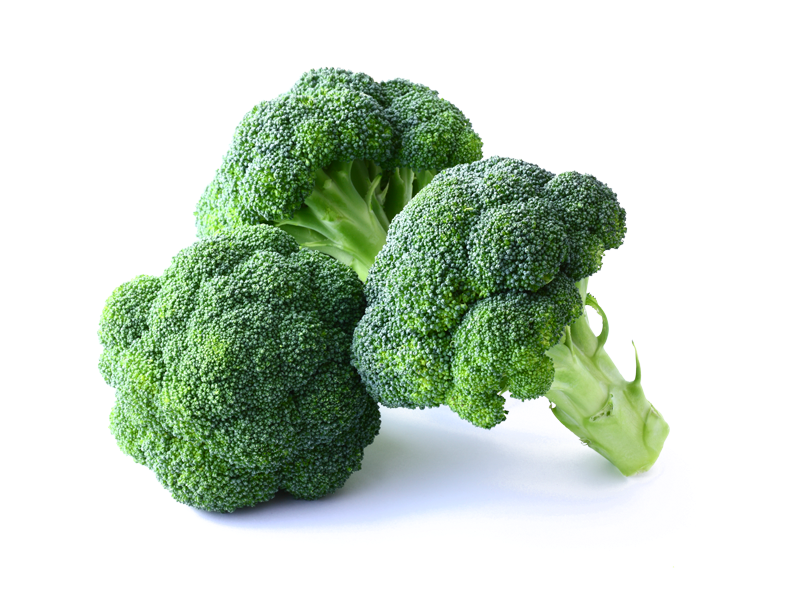 Fresh Broccoli Isolatedon Background PNG image