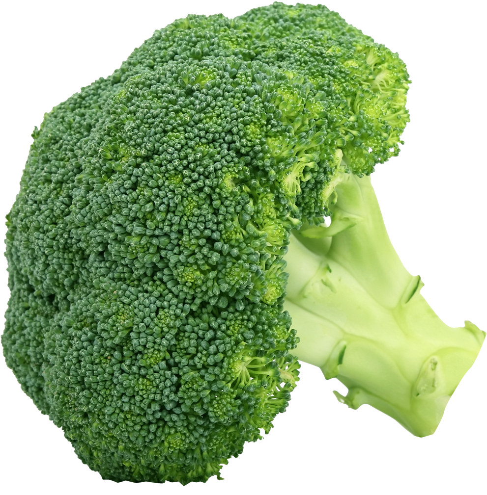 Fresh Broccoli Isolatedon Grey PNG image