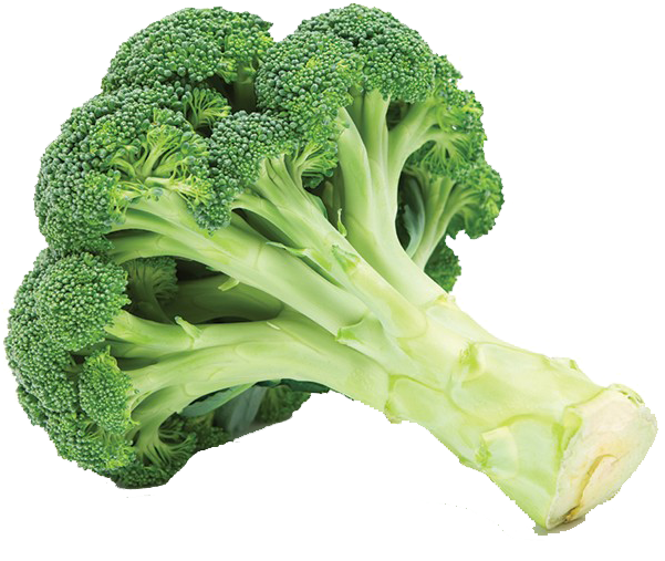 Fresh Broccoli Stalks.png PNG image
