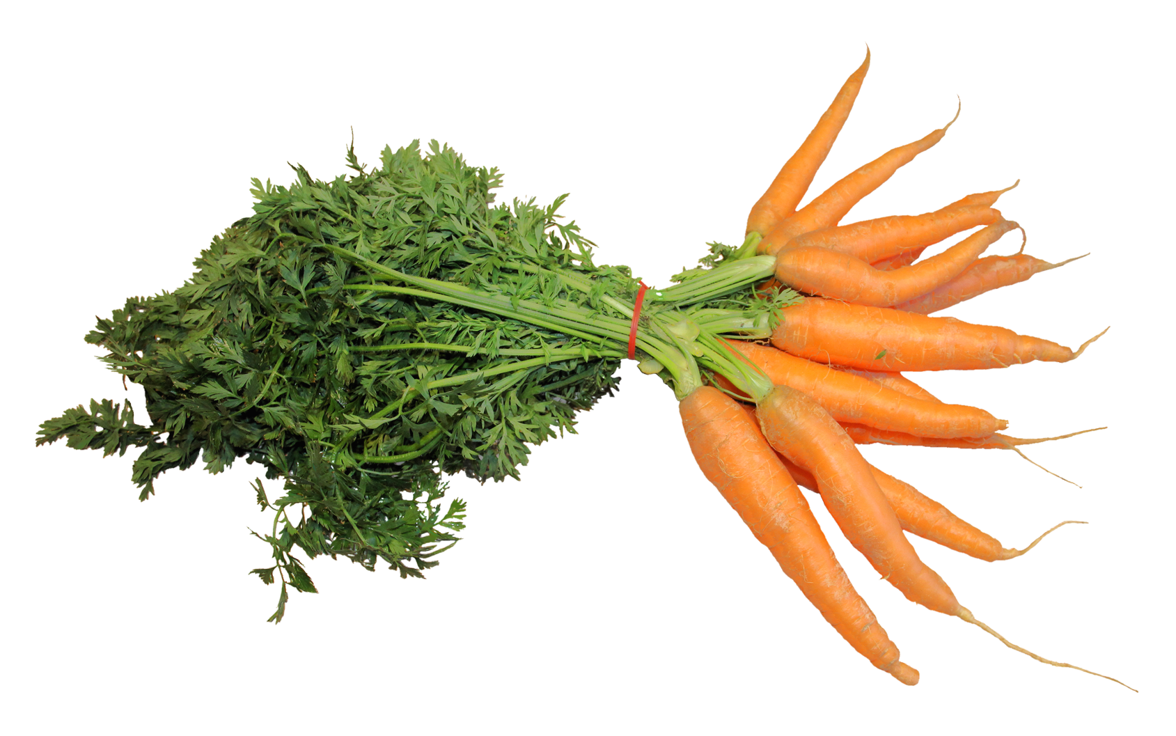 Fresh Bunchof Carrots PNG image