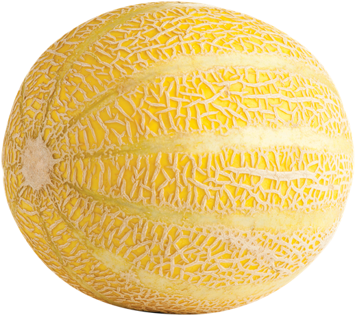 Fresh Cantaloupe Whole Fruit PNG image