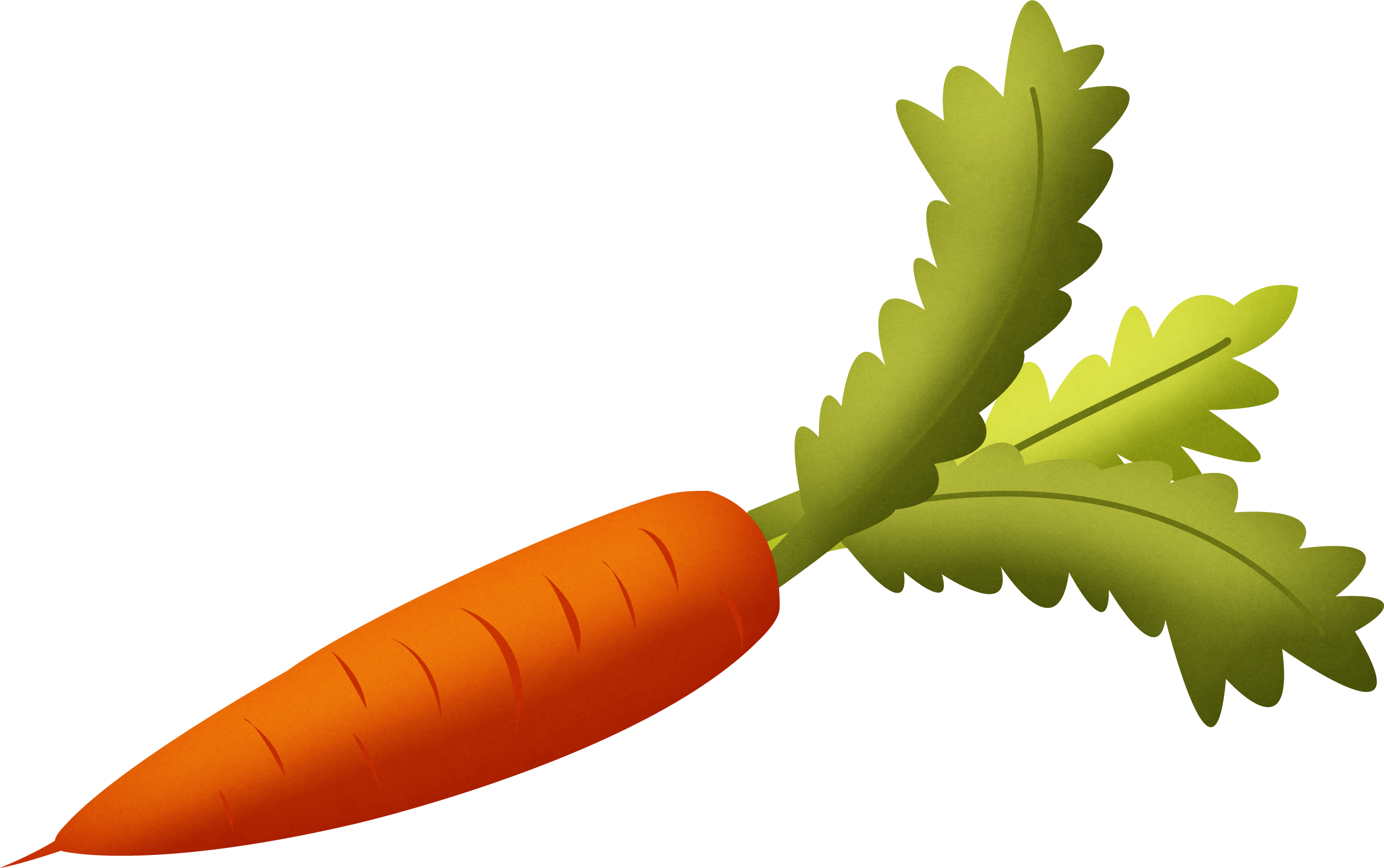 Fresh Carrot Illustration.png PNG image