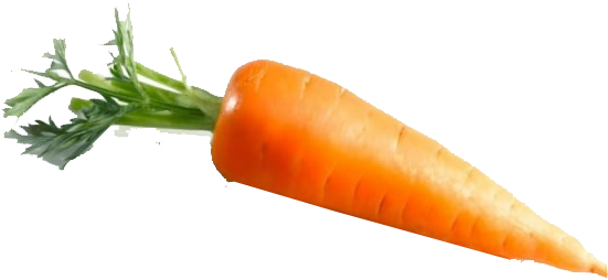 Fresh Carrot Isolated Image PNG image