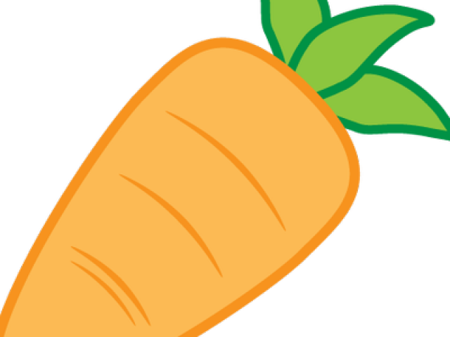 Fresh Carrot Vector Illustration PNG image