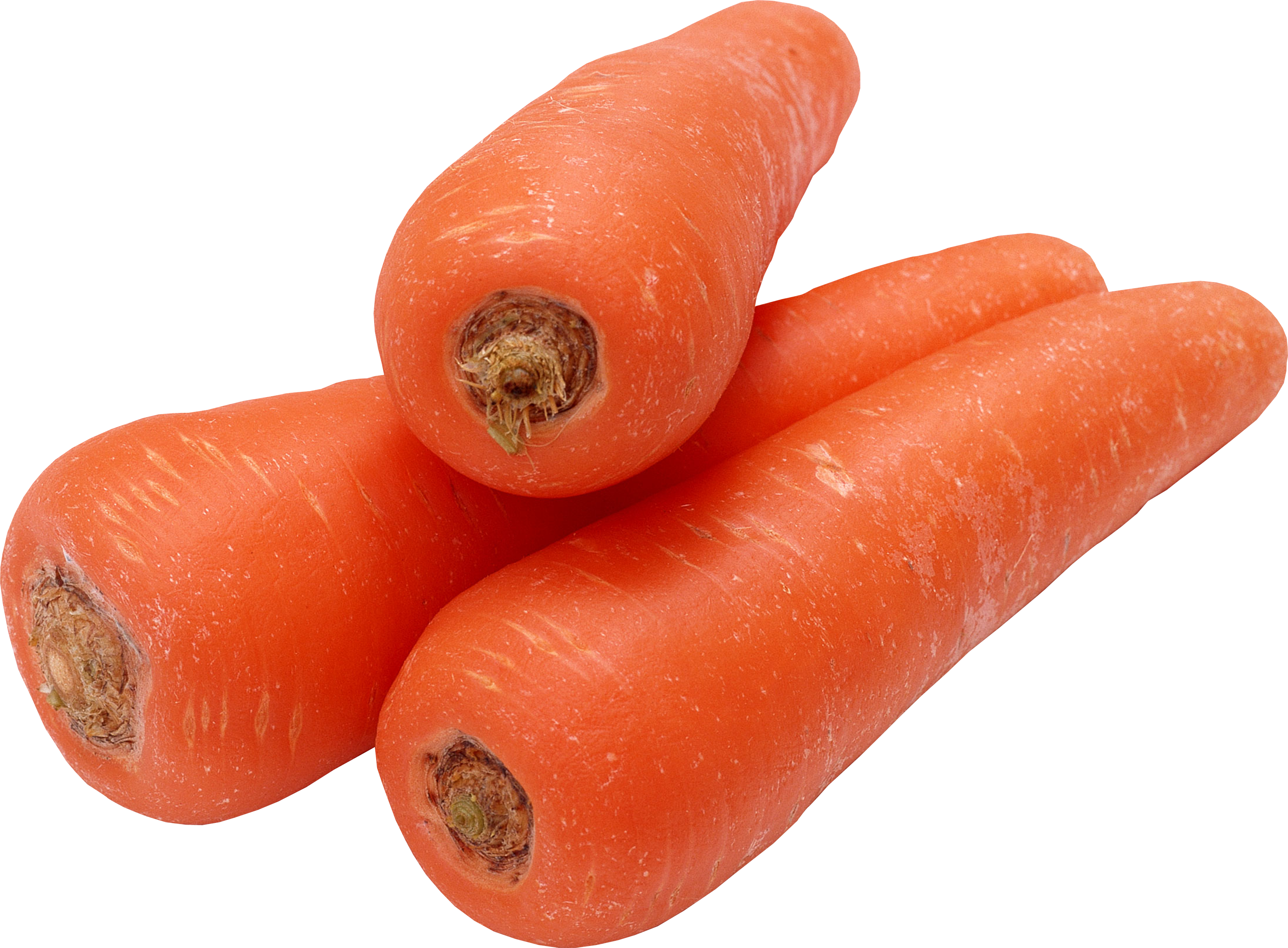 Fresh Carrots Isolated.png PNG image