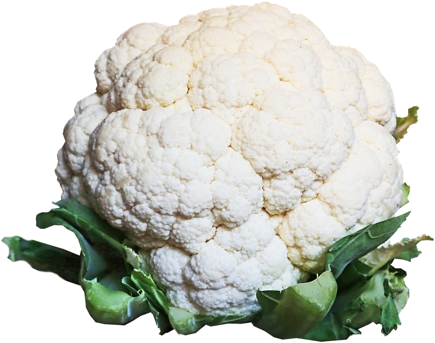 Fresh Cauliflower Isolated.png PNG image