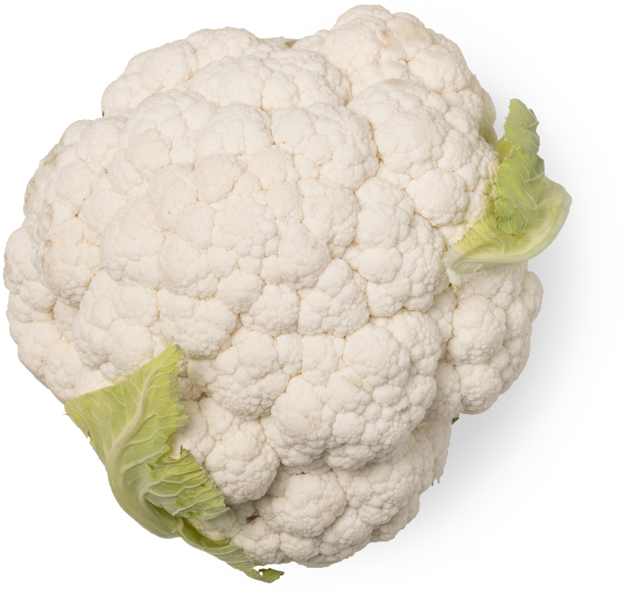 Fresh Cauliflower Isolated.png PNG image