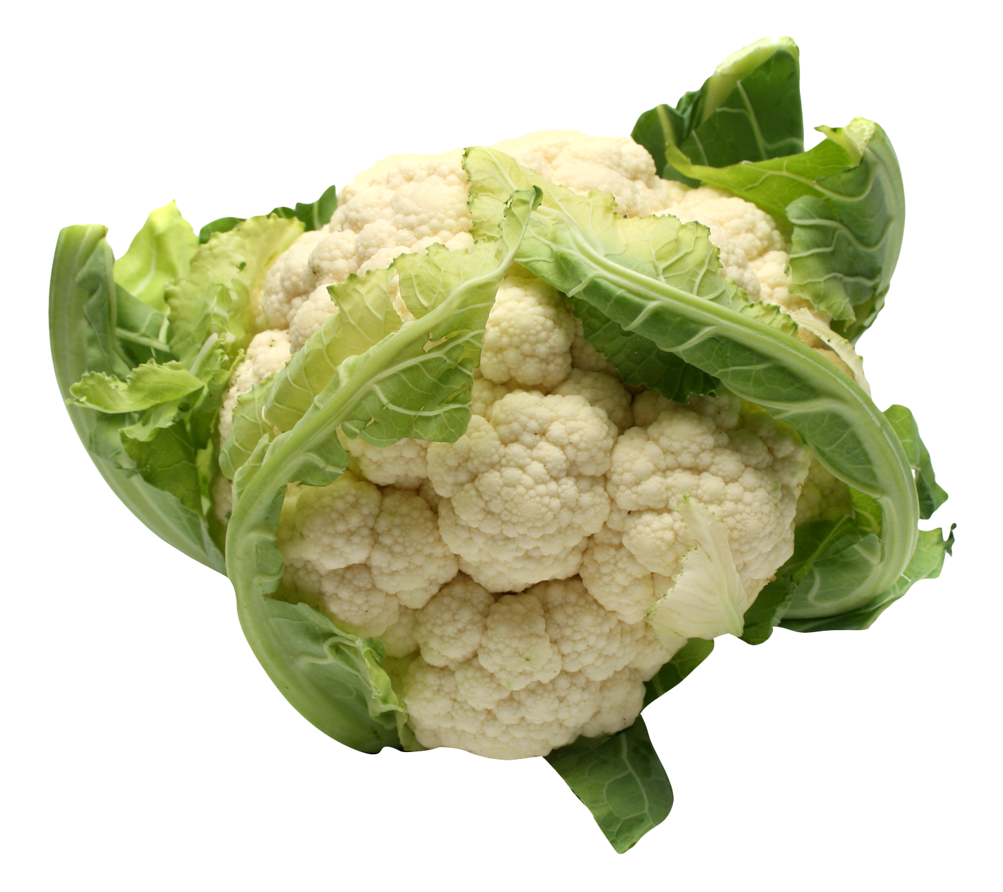 Fresh Cauliflower Isolated.png PNG image