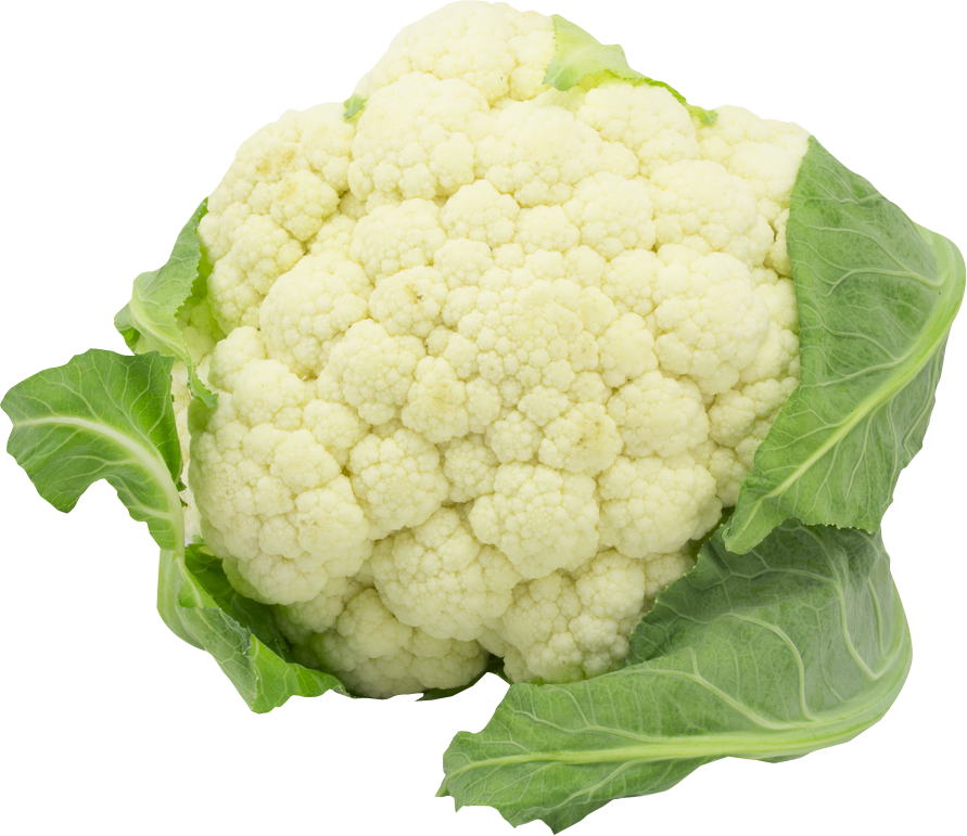 Fresh Cauliflower Isolatedon Grey PNG image