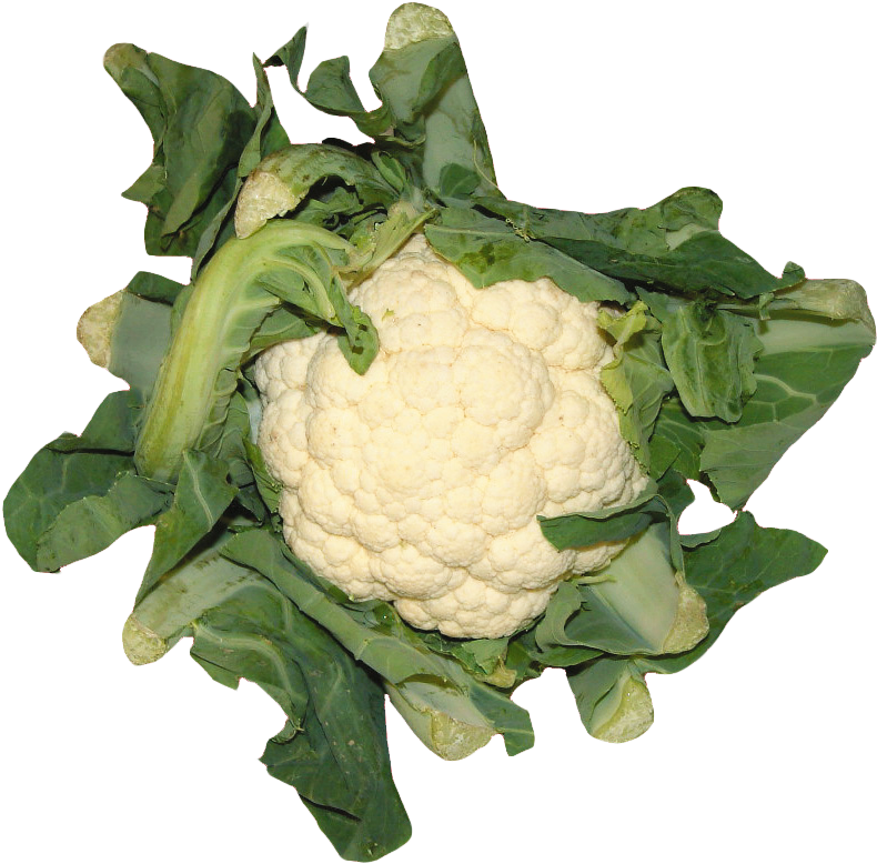 Fresh Cauliflowerwith Green Leaves.png PNG image