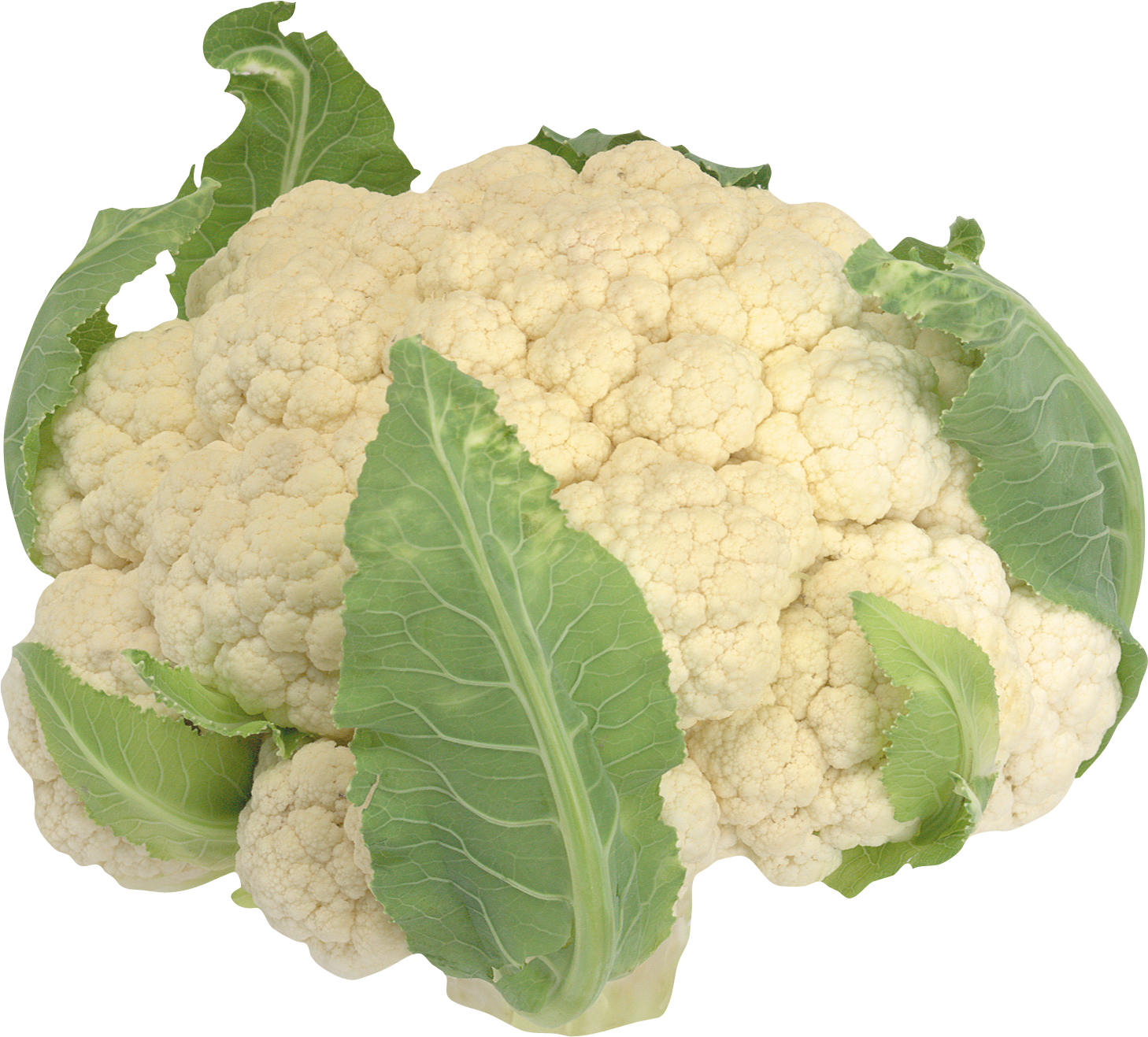 Fresh Cauliflowerwith Leaves.png PNG image