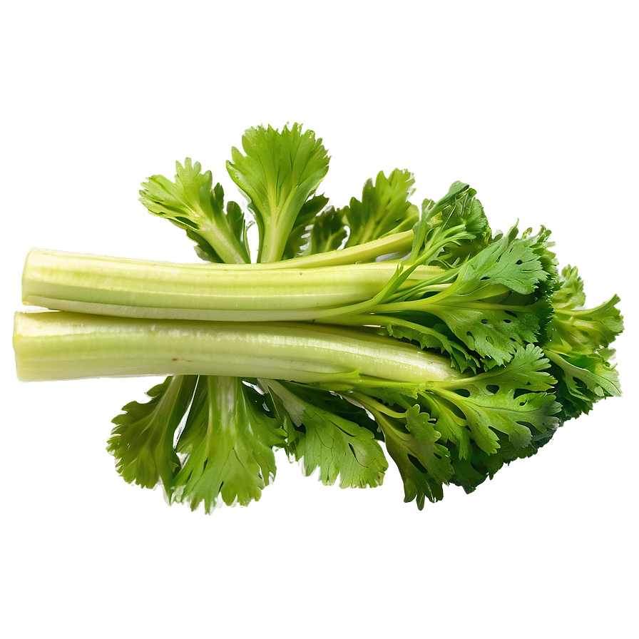 Fresh Celery Png Rok29 PNG image