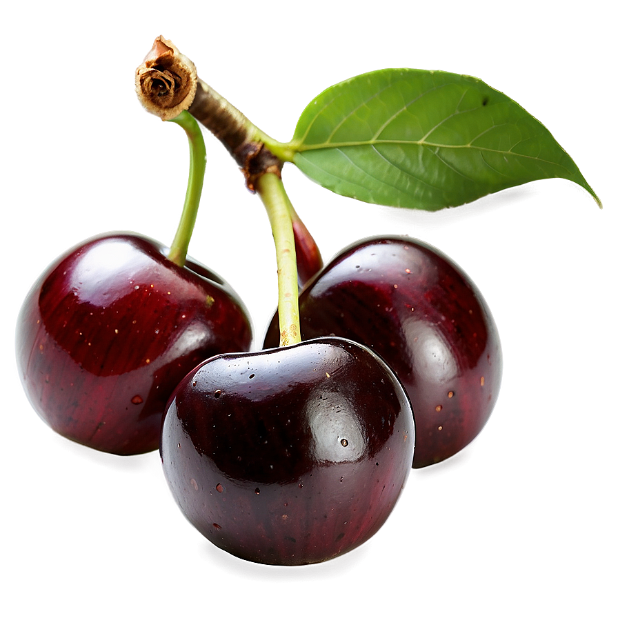 Fresh Cherry Png 72 PNG image