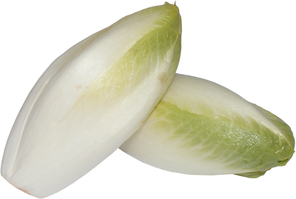 Fresh Chicory Endive Vegetable PNG image