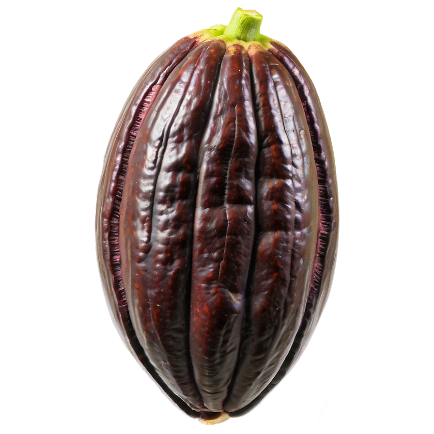 Fresh Cocoa Beans Png 06292024 PNG image