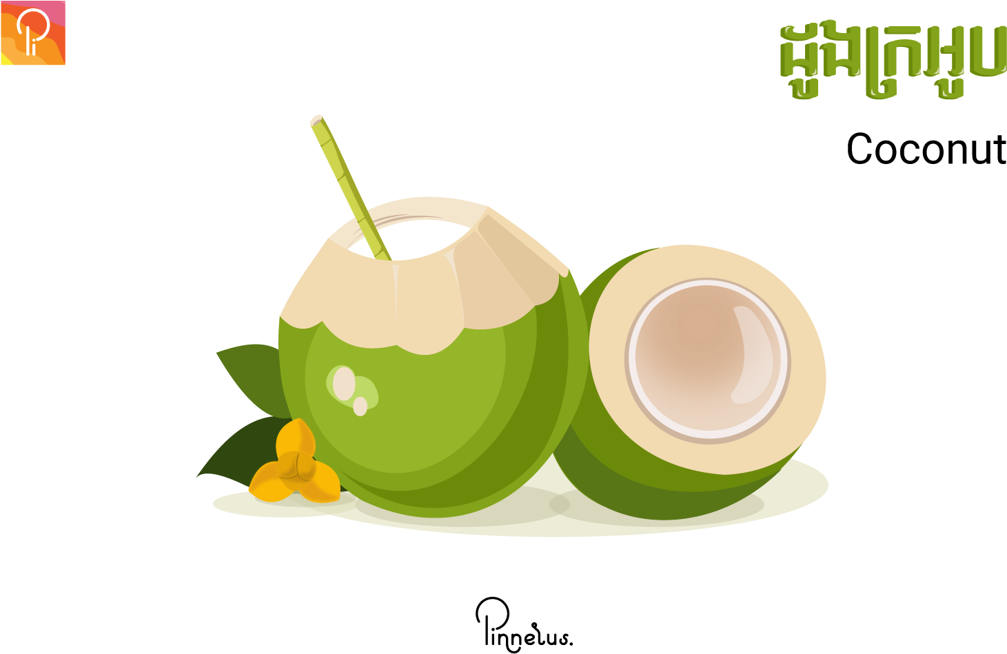 Fresh Coconut Drink Vector Illustration PNG image