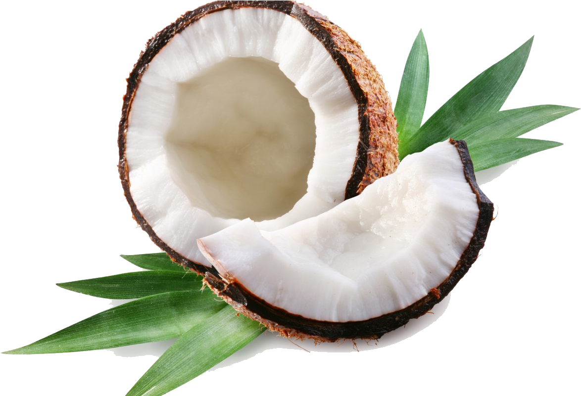 Fresh Coconut Halfwith Green Leaves PNG image