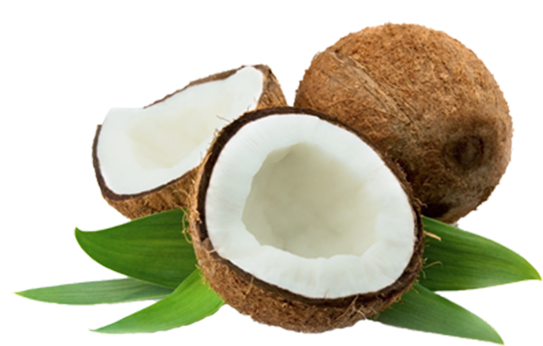 Fresh Coconut Halves Green Leaves PNG image